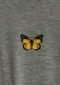 Kyla Butterfly Crop Top - Gray
